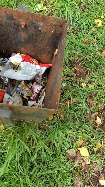 №613	Двор П. Осипенко 48. 29 августа 2025 г., 13:24:48 VID_20250829_132426841