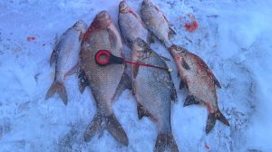 За ЛЕЩЁМ по тонкому льду! Зимняя рыбалка 2026! Рыбалка в Рязанской области на ОКЕ!