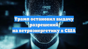 Трамп остановил выдачу разрешений на ветроэнергетику в США