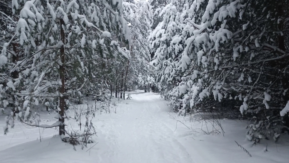 02-01-2026🌲Влог🌲пятница 📖комментарии смотреть онлайн