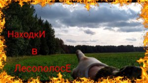 Поехал Добить Склад ЖЕЛЕЗНЫХ Рюмок, но..... МЕТАЛЛОКОП!!!