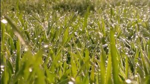 Охримовка - 8