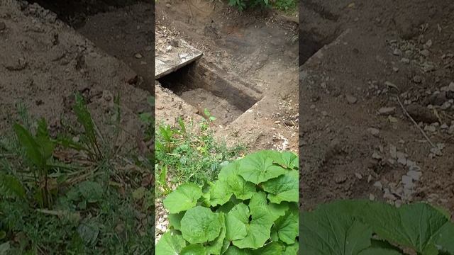 №600	ул. Полины Осипенко. 22 августа 2025 г., 13:12:50 VID_20250822_130936751