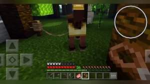 Майнкрафт. Часть 8. Видение