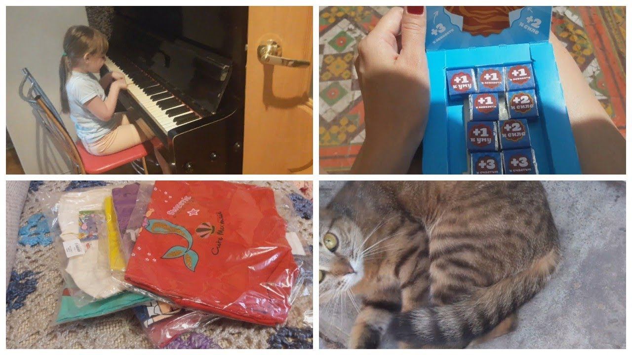 Vlog. Много покупок/ Юный пианист/ Что происходит с кошками? смотреть онлайн