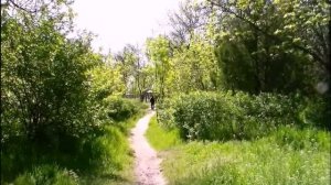 Охримовка - 12