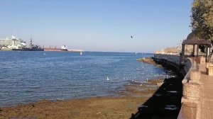 Голоса моря и чайки