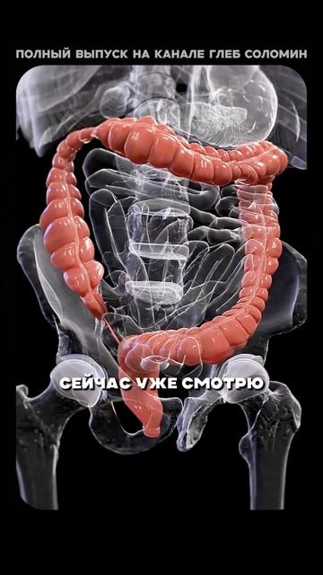 Современное питание вредит организму |Вялов | Полный выпуск на канале «Глеб Соломин» смотреть онлайн