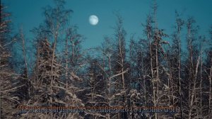 Прогностическая студия 2026 (от 2 января)