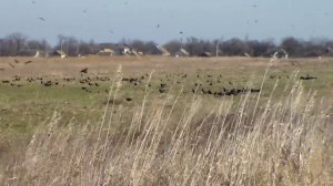 Охримовка - 18.