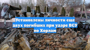 Установлены личности ещё двух погибших при теракте ВСУ в Хорлах