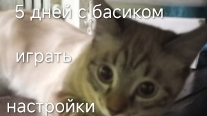 пять дней с басиком (второй день продолжение будет завтра)