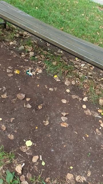 №604	Двор П. Осипенко 48. 22 августа 2025 г., 13:16:46 VID_20250822_131600098