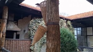 Чёрная белка в Абхазии. Собака - пастух. Остановка у Самшитовой рощи. Кафе Леон