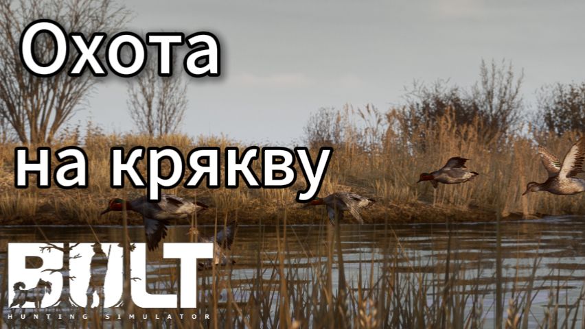 охота на крякву в BULT смотреть онлайн