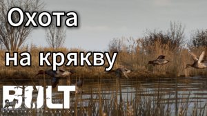 охота на крякву  в BULT