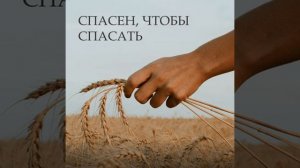 Тишина, я с счастьем... ♥️🙏 христианская песня