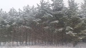 Поздравляю всех с Новым годом и наступающим Рождеством ! Прогулка по заснеженной деревне .