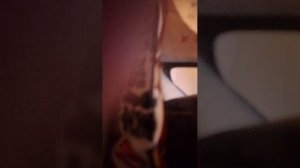 игрй в стендофф в дуэль