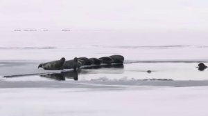 Начало 2026 г на Байкале