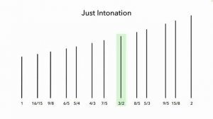 Why are there 12 different notes_