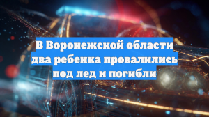 В Воронежской области два ребенка провалились под лед и погибли