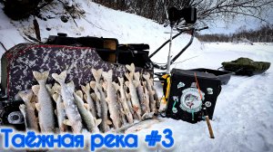 Рыбалка в Сибири