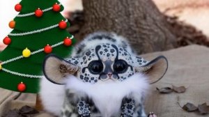 С новым 2026 годом!