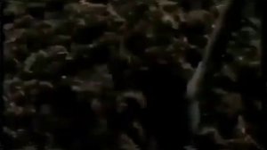 Реклама Outfit7 Films (28.07.2004) (2)