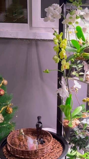 Зимняя сказка 🎄❄️☃️🌸🌼🌺 смотреть онлайн