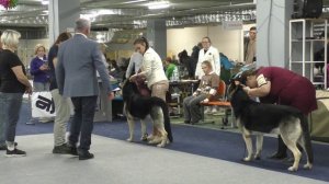 Моншер Вирсаль Гималай