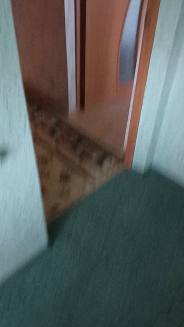 я молодец? смотреть онлайн