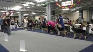 Класс юниоров