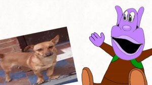 Жун и "Волк"