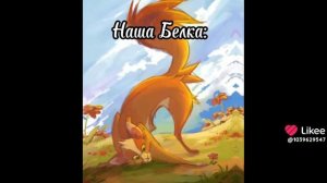 Коты воители