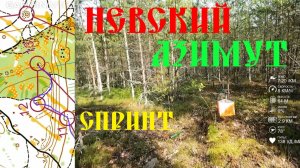 Спортивное ориентирование - Невский Азимут 2025, Лосево, спринт - 12.06.2025