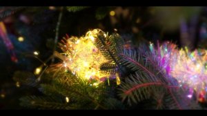 Полина Зыкова. "Ель".