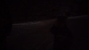 ВСТРЕЧА НОВОГО ГОДА🌲🌲🌲