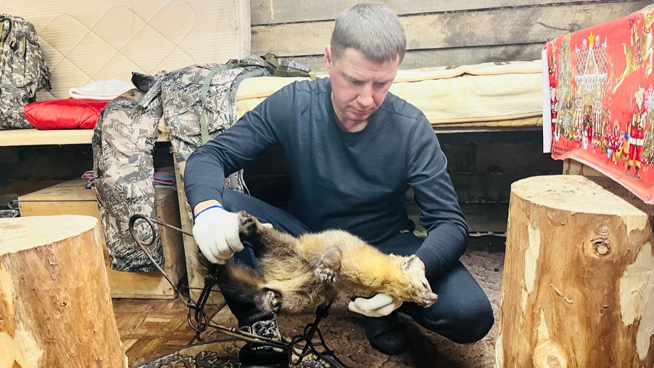 Живём в таёжной избе. Соболь попался. Шикарная охота и вкусная простая еда. смотреть онлайн