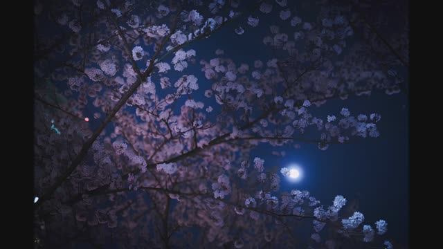 Одинокая гармонь (cover) смотреть онлайн