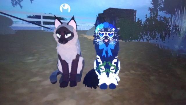 Возвращаюсь на канал, ура. смотреть онлайн