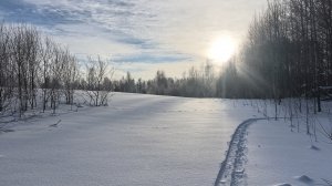 ОДИНОЧНАЯ ОХОТА НА ЗАЙЦА БЕЛЯКА. ПЕРВАЯ ОХОТА 2026