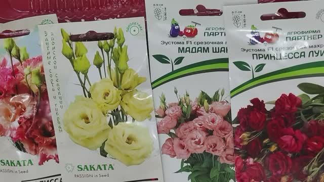 Эустома будет цвести! Как посеять эустому на ранее цветение #эустома #семена #цветы #посевсемян смотреть онлайн