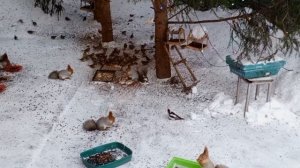 весёлая пятница