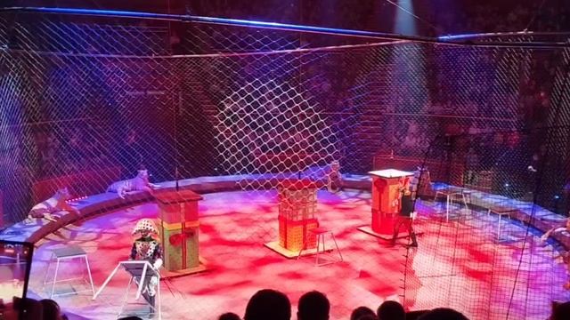 Шоу Аскольда Запашного Стойкий оловяный солдатик Брянский цирк смотреть онлайн