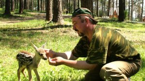 Истории, егеря