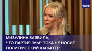 Мизулина заявила, что партия "Мы" пока не носит политический характер