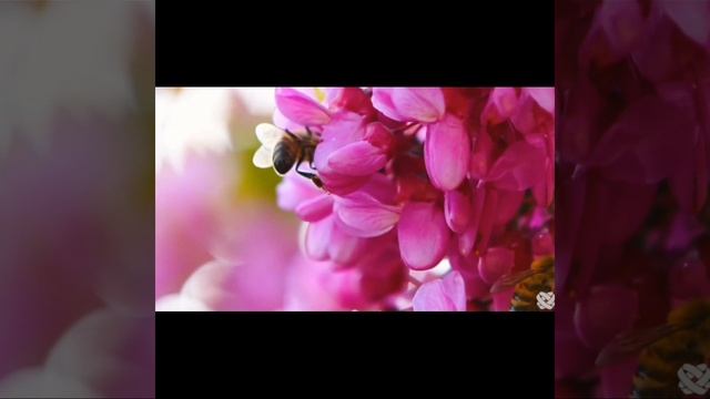 ℹ️ УЧЕНЫЕ в ШОКЕ! Метод БЕХТЕРЕВОЙ работает на 1000% с ПЕРВОГО РАЗА - как получить ЖЕЛАЕМОЕ разумом смотреть онлайн