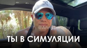 Ты живешь в Симуляции