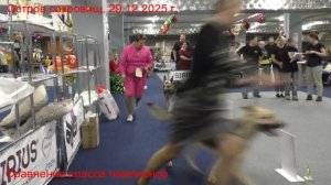 Расстановка класса чемпионов